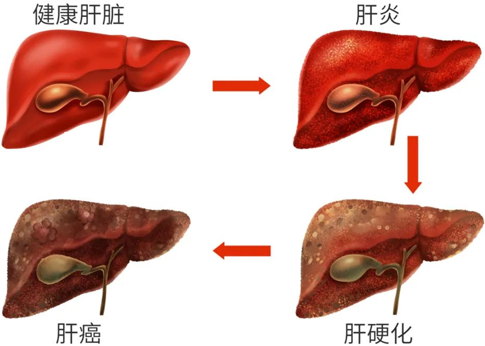 640.png 640.png