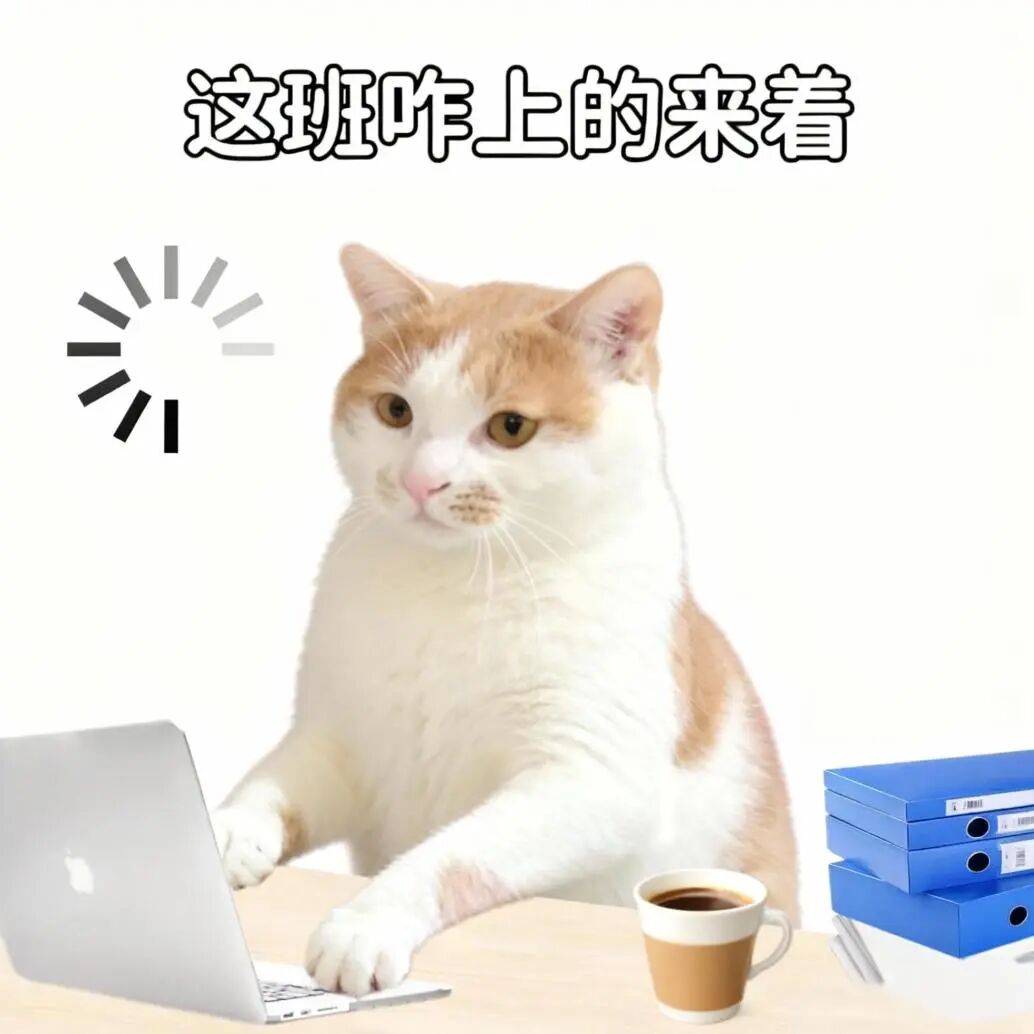 微信图片_2026-01-30_151053_223.jpg 微信图片_2026-01-30_151053_223.jpg