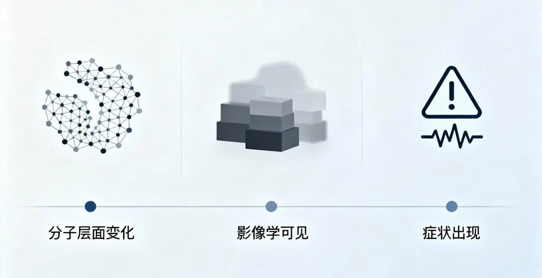 微信图片_2026-01-30_153740_985.jpg